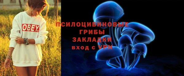 дурь Карпинск