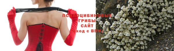 дурь Карпинск