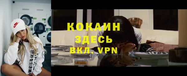 дурь Карпинск