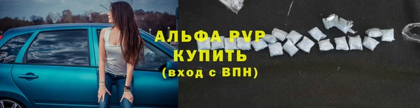 дурь Карпинск
