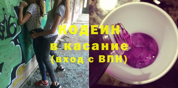 дурь Карпинск