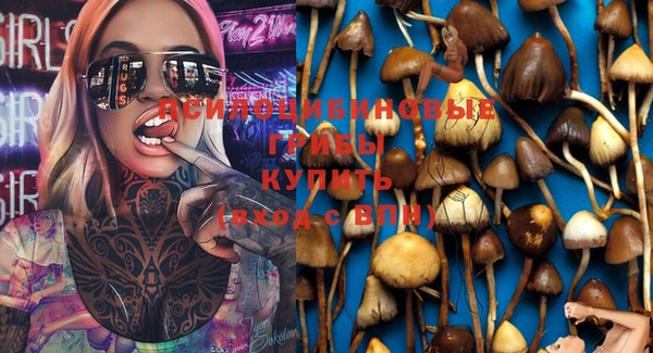 mdpv Касимов