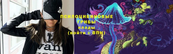 дурь Карпинск